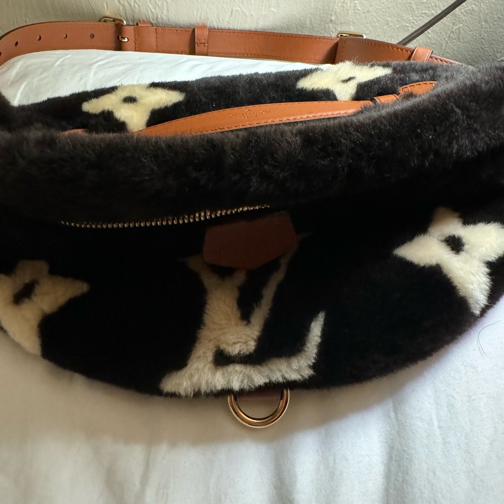 Louis Vuitton waist bag